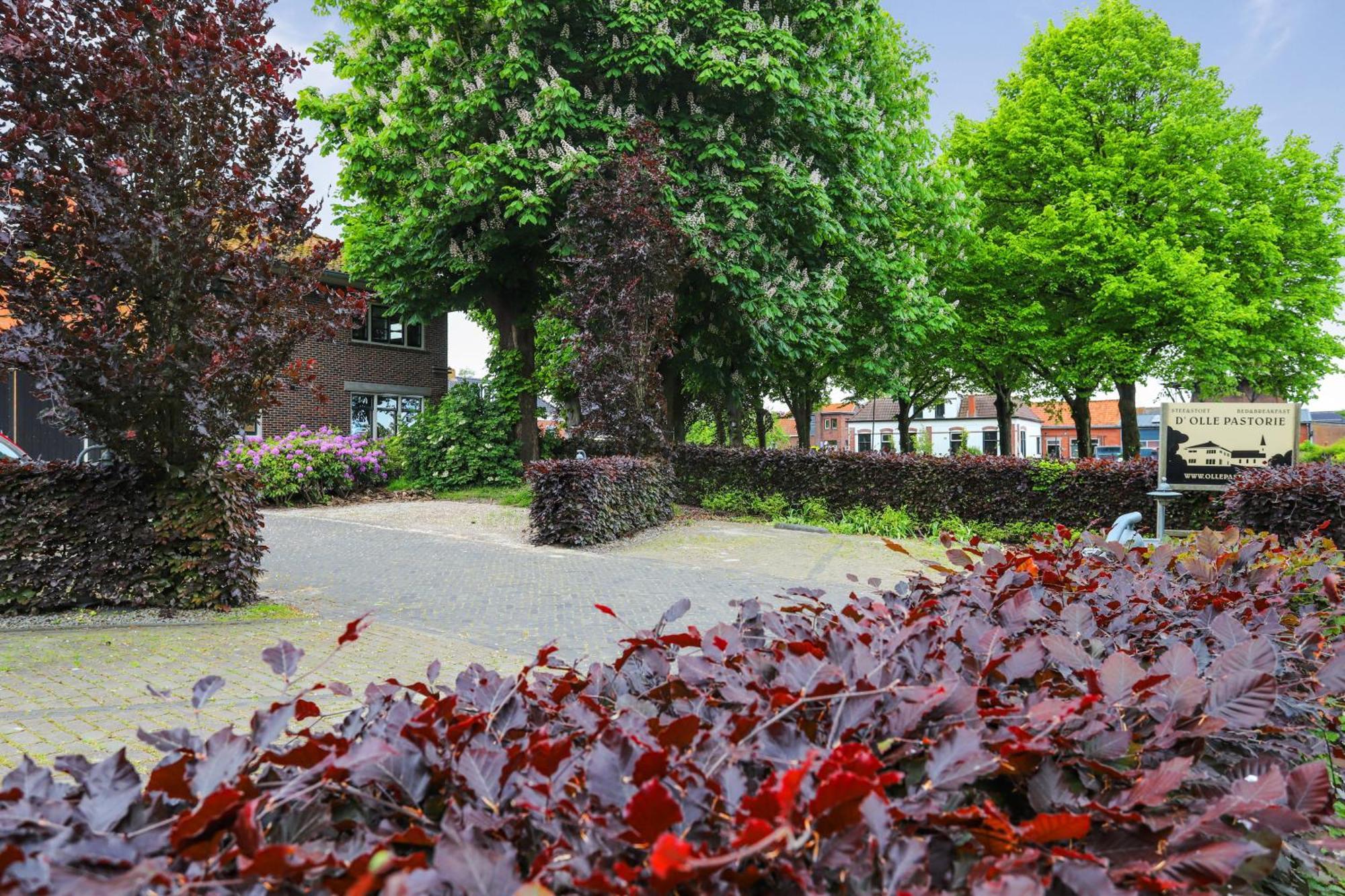 B&B - Sauna D'Olle Pastorie Vierhuizen Zewnętrze zdjęcie